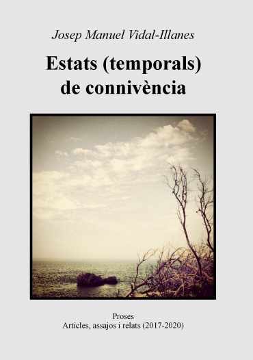Josep Manuel Vidal Illanes_15x21_Coberta còpia
